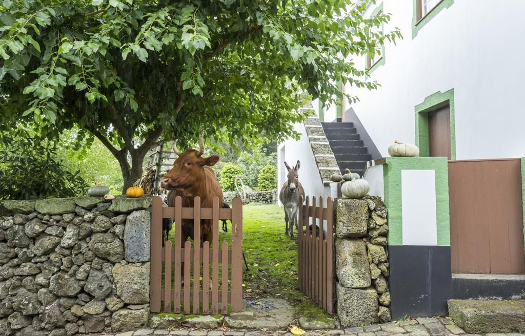 Hotel Quinta Do Martelo Angra do Heroísmo Zewnętrze zdjęcie