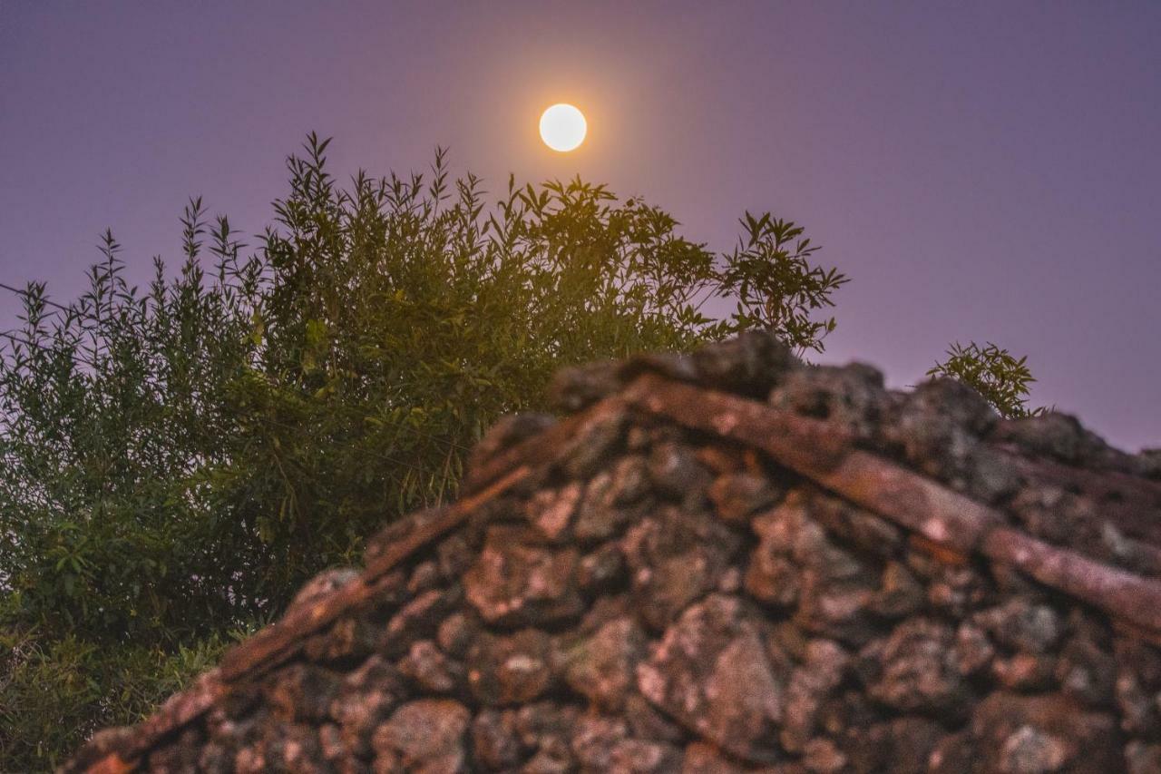 Hotel Quinta Do Martelo Angra do Heroísmo Zewnętrze zdjęcie